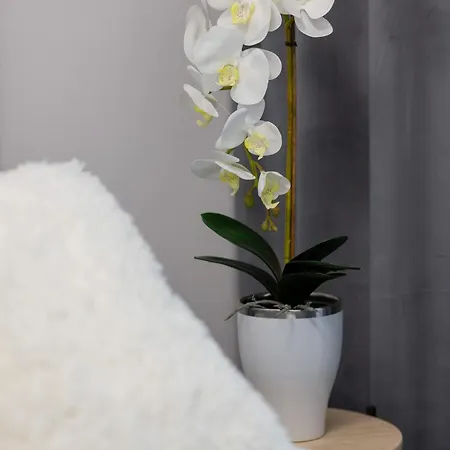 Grzybowska Stylish With Air Conditioning In Wola By Renters